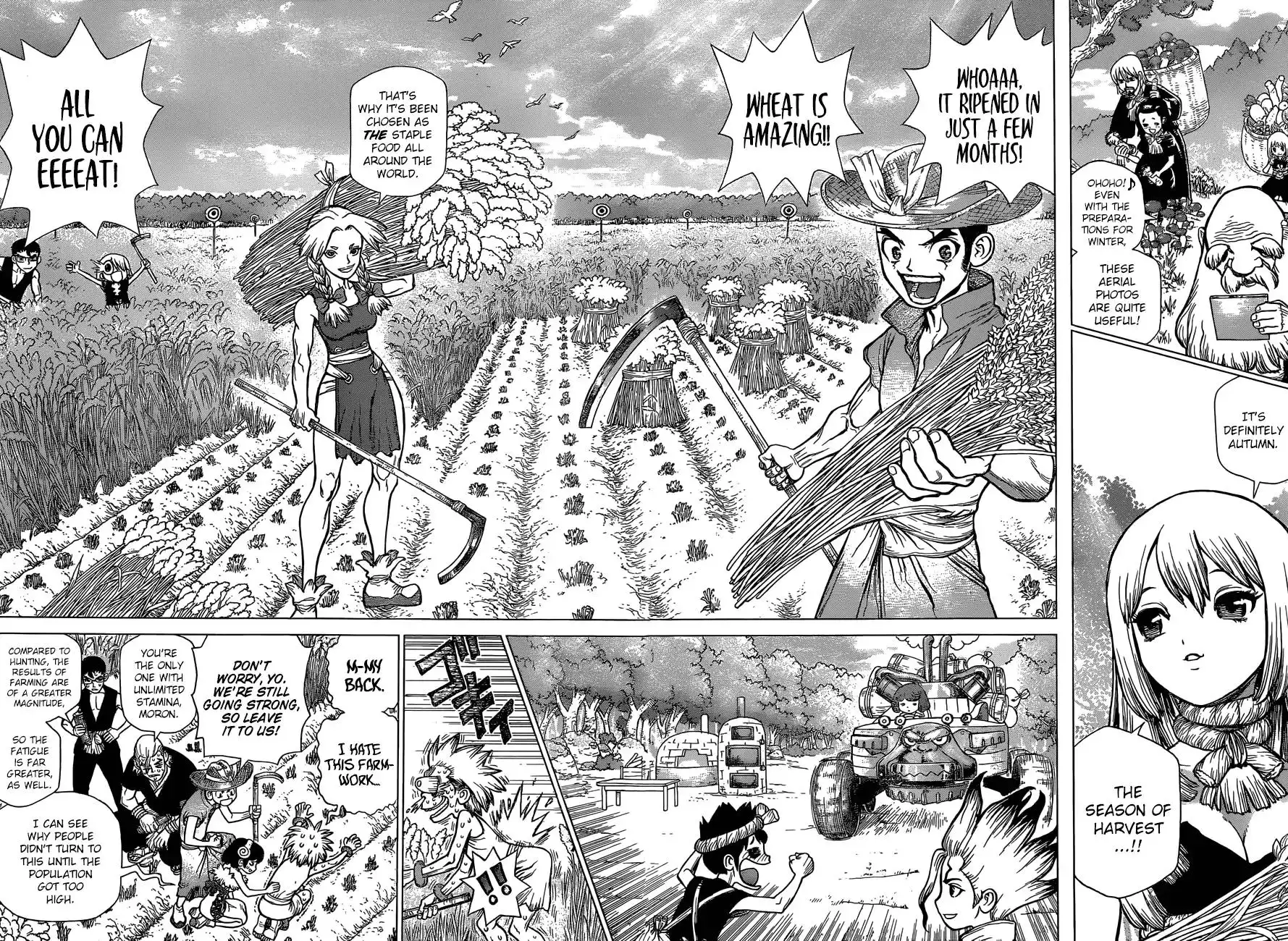 Dr. Stone Chapter 94 5